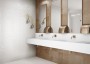 Patterned --and-- Statement White Medium Format 260x410 - 595x595 Porcelain for ; Finish - Satin/Semi Polished
